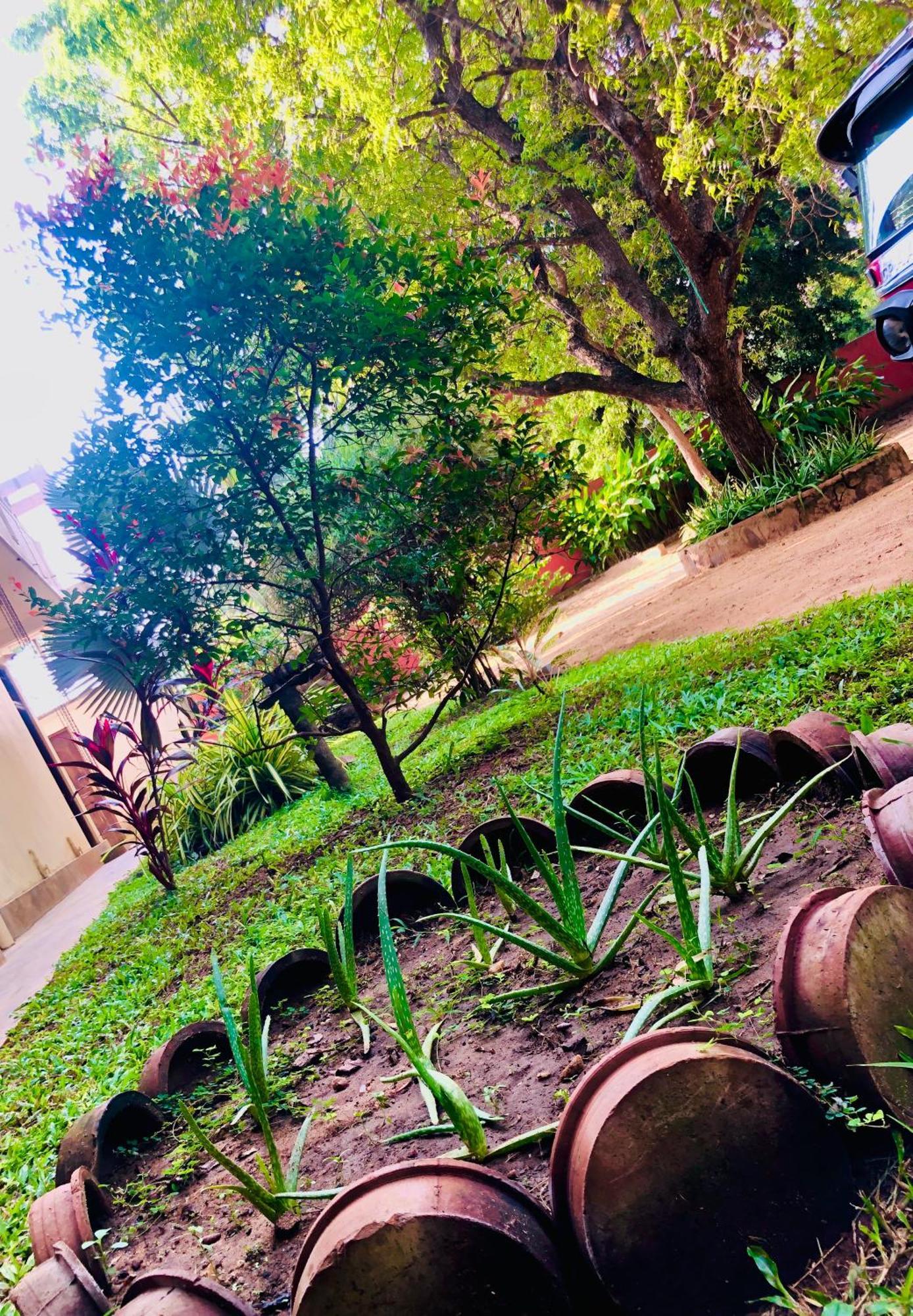 Saman Resort Yala Tissamaharama Ngoại thất bức ảnh