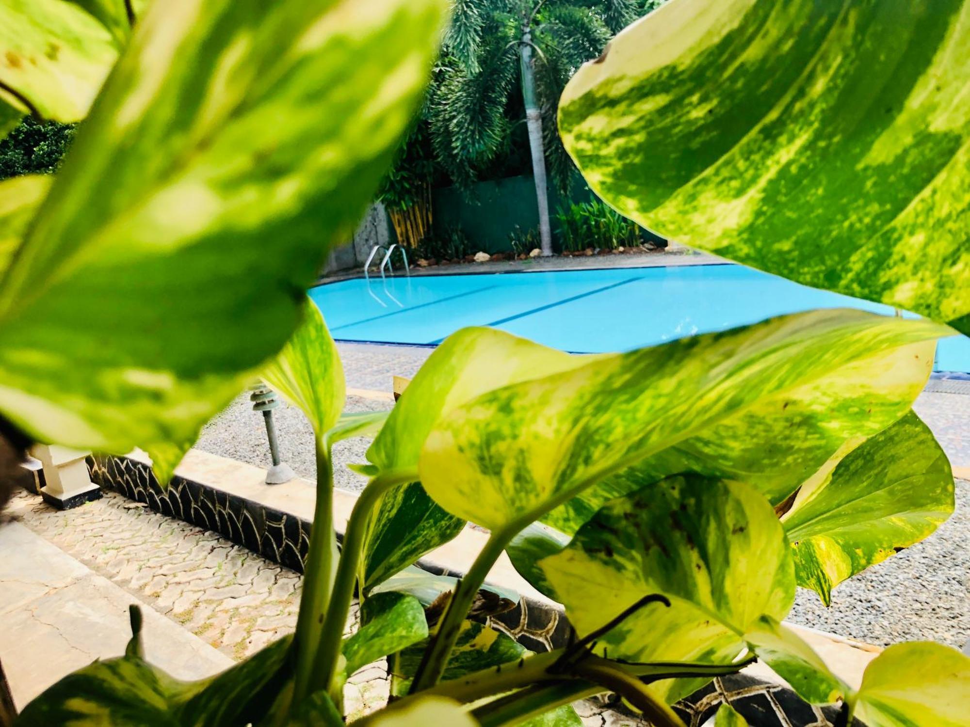 Saman Resort Yala Tissamaharama Ngoại thất bức ảnh