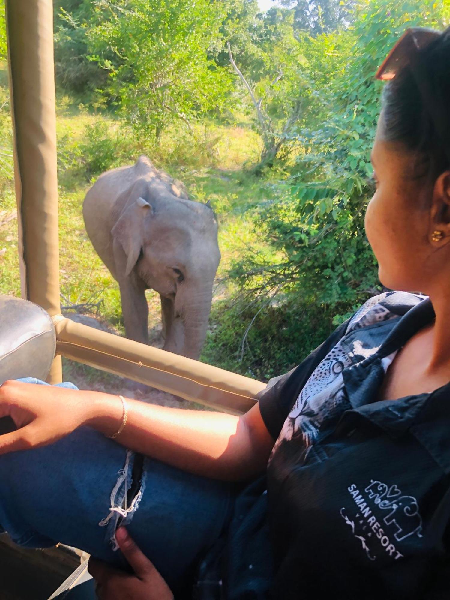 Saman Resort Yala Tissamaharama Ngoại thất bức ảnh