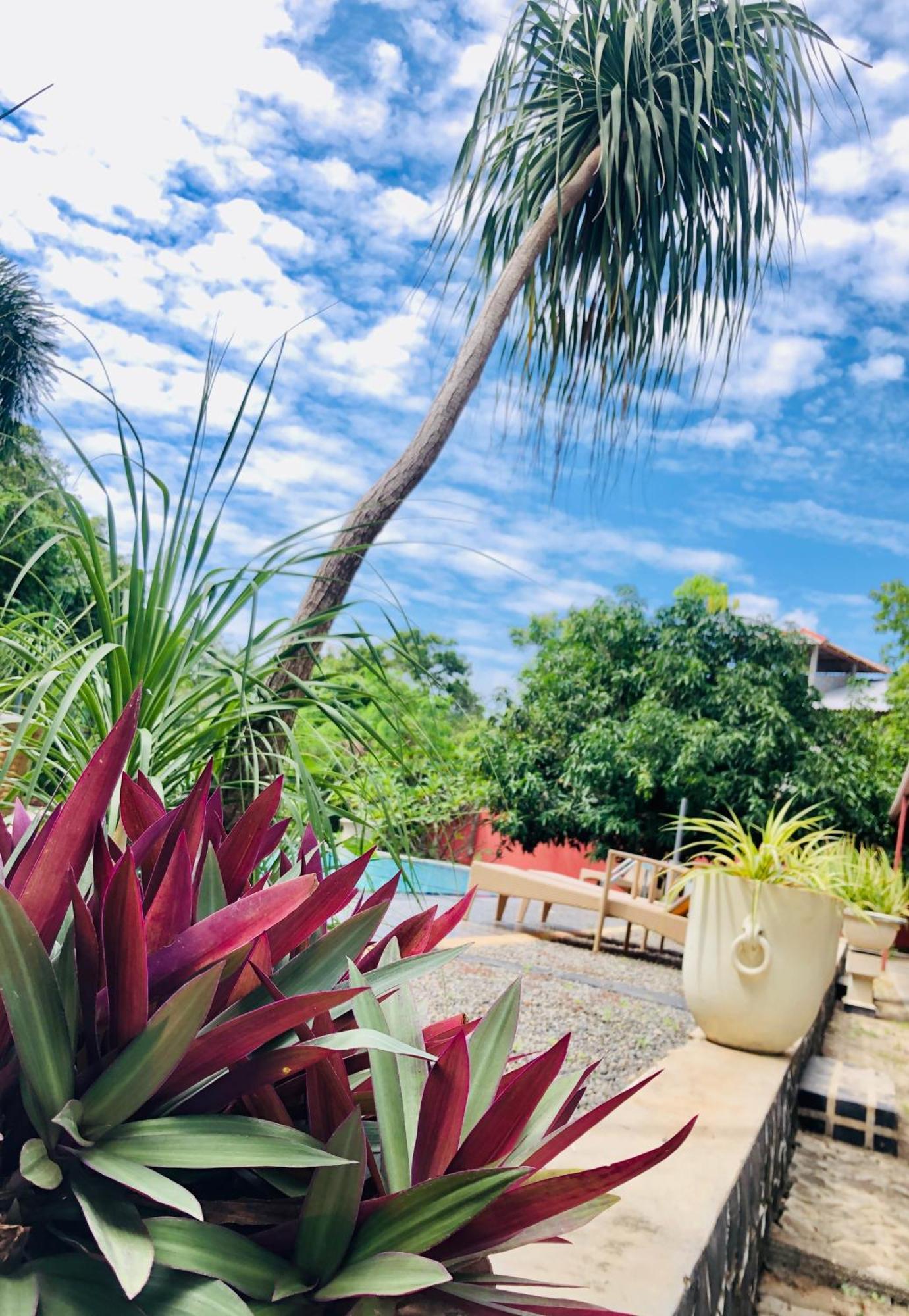 Saman Resort Yala Tissamaharama Ngoại thất bức ảnh